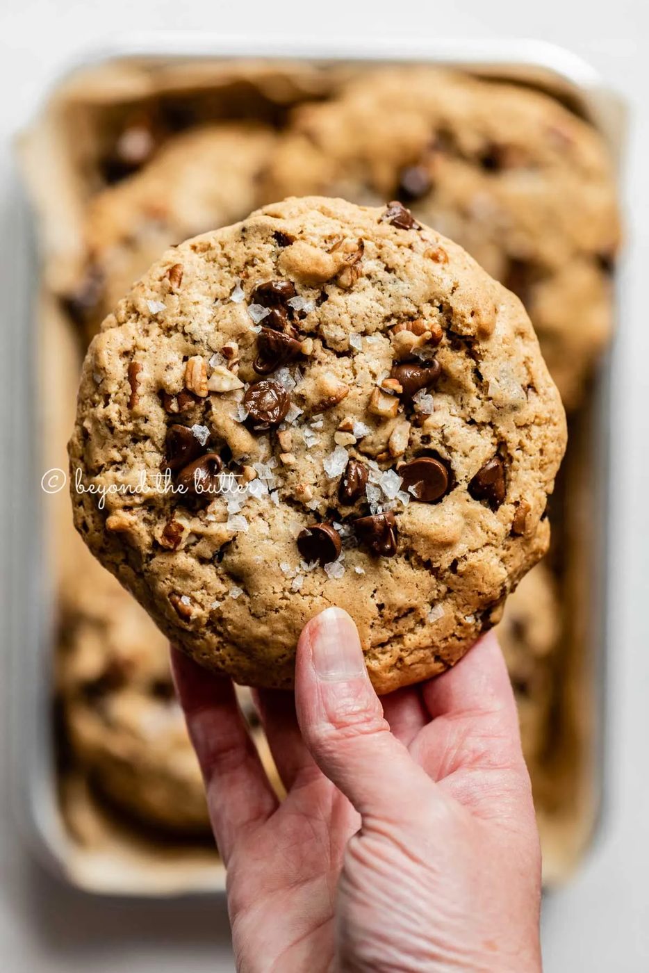 Hand holding a large almond butter chocolate chip pecan cookie | All images © Sovuh