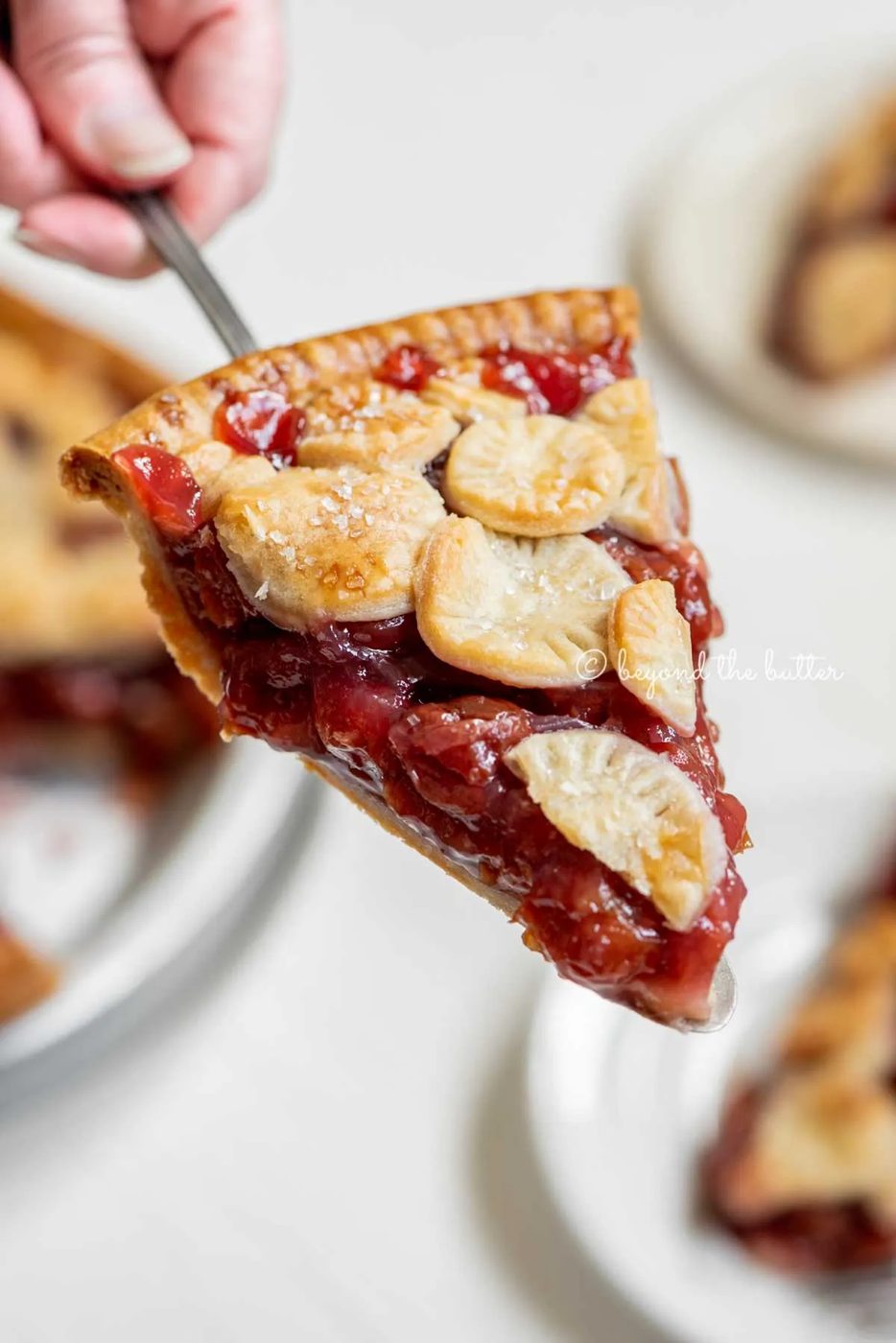 Hand holding a slice of house-made cherry pie with slices in the background | All Images © Sovuh