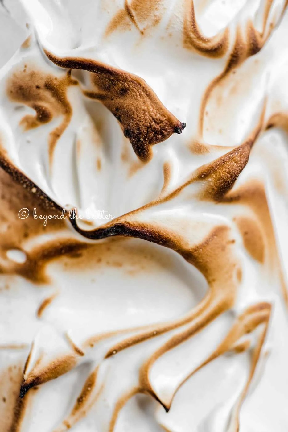 Close up image of toasted marshmallow meringue topping | All Images © Sovuh