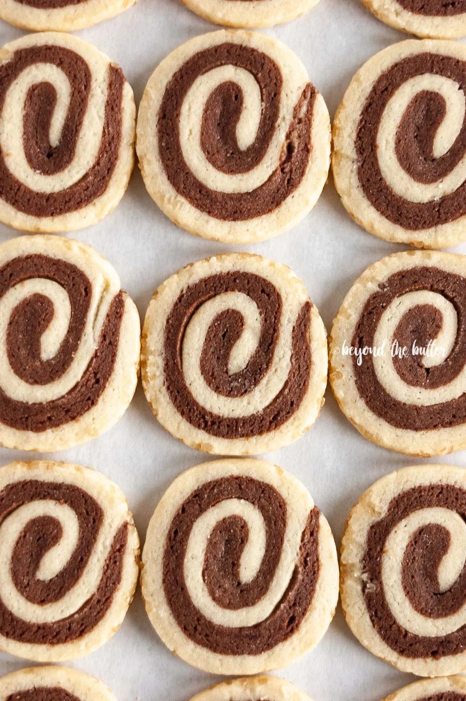 Overhead image of Chocolate Pinwheel Cookies in rows | All images © Sovuh