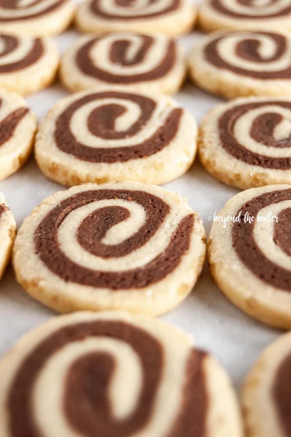Angled image of Chocolate Pinwheel Cookies in rows | All images © Sovuh