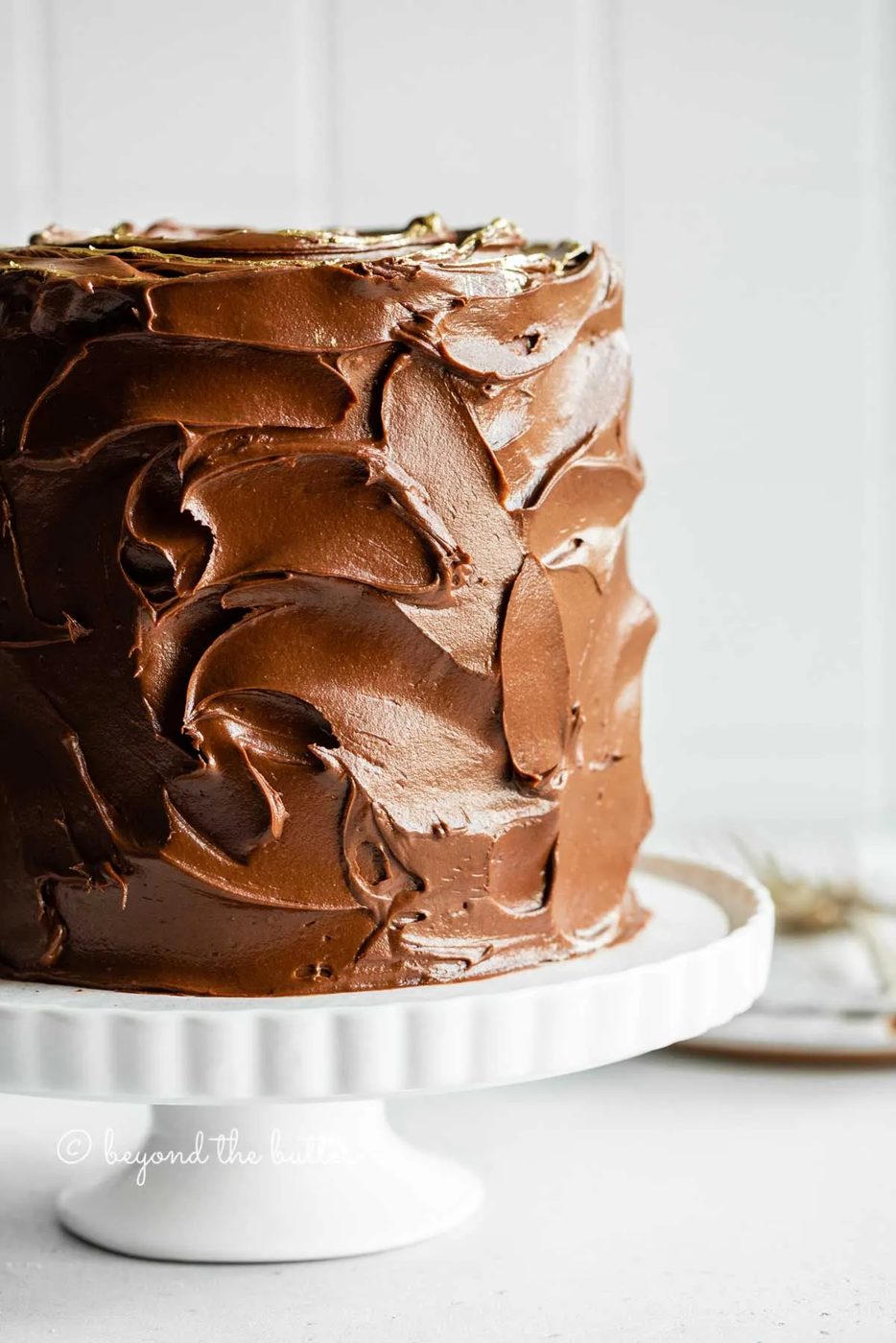 Image of chocolate zucchini cake with chocolate chips on a white cake stand | All Images © Sovuh
