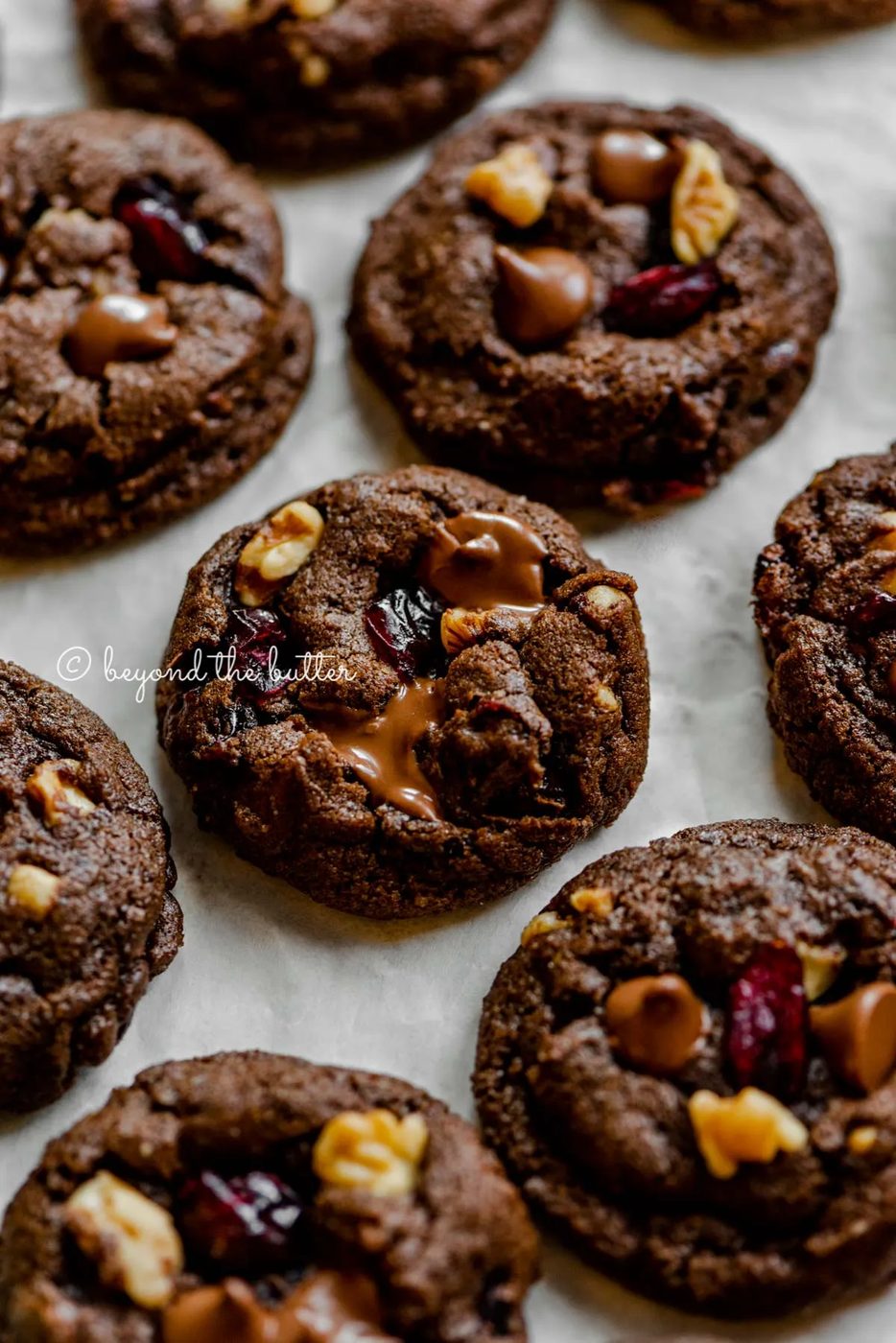 Dark chocolate cranberry walnut cookies on light gray background | All Images © Sovuh
