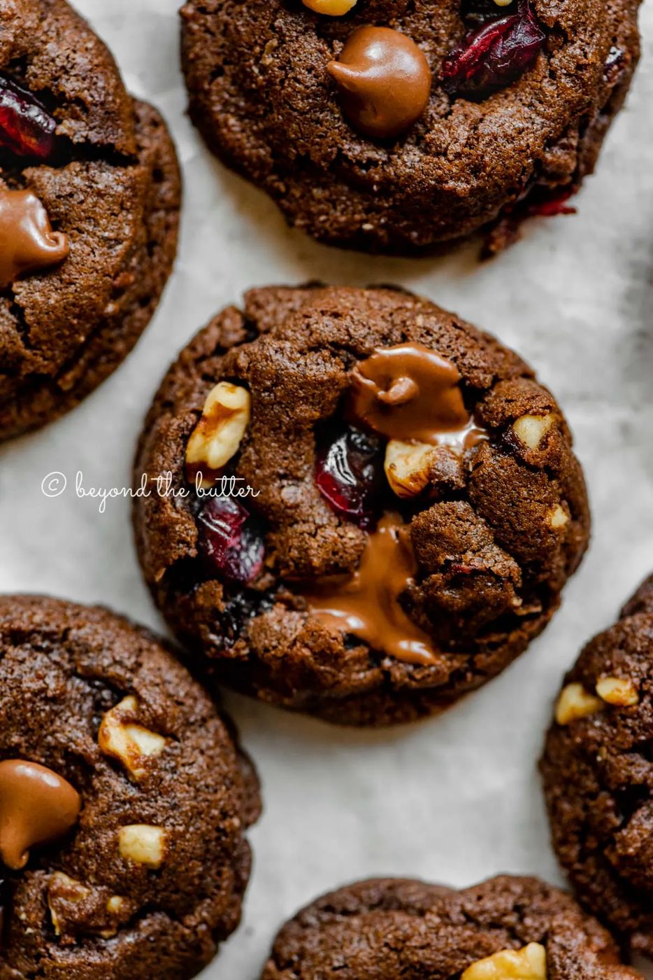 Dark chocolate cranberry walnut cookies on light gray background | All Images © Sovuh