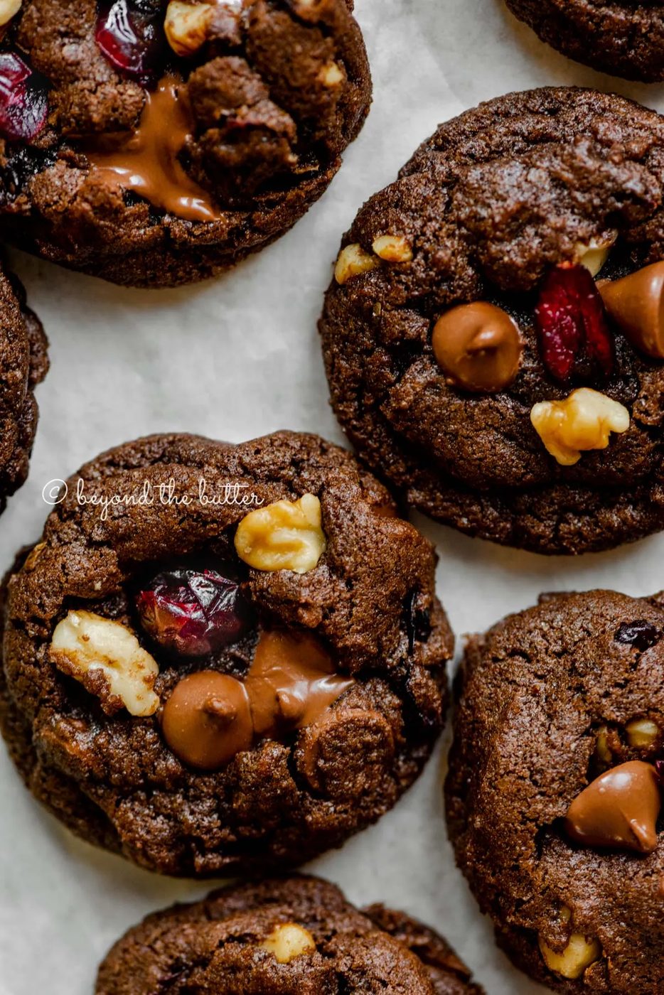 Dark chocolate cranberry walnut cookies on light gray background | All Images © Sovuh