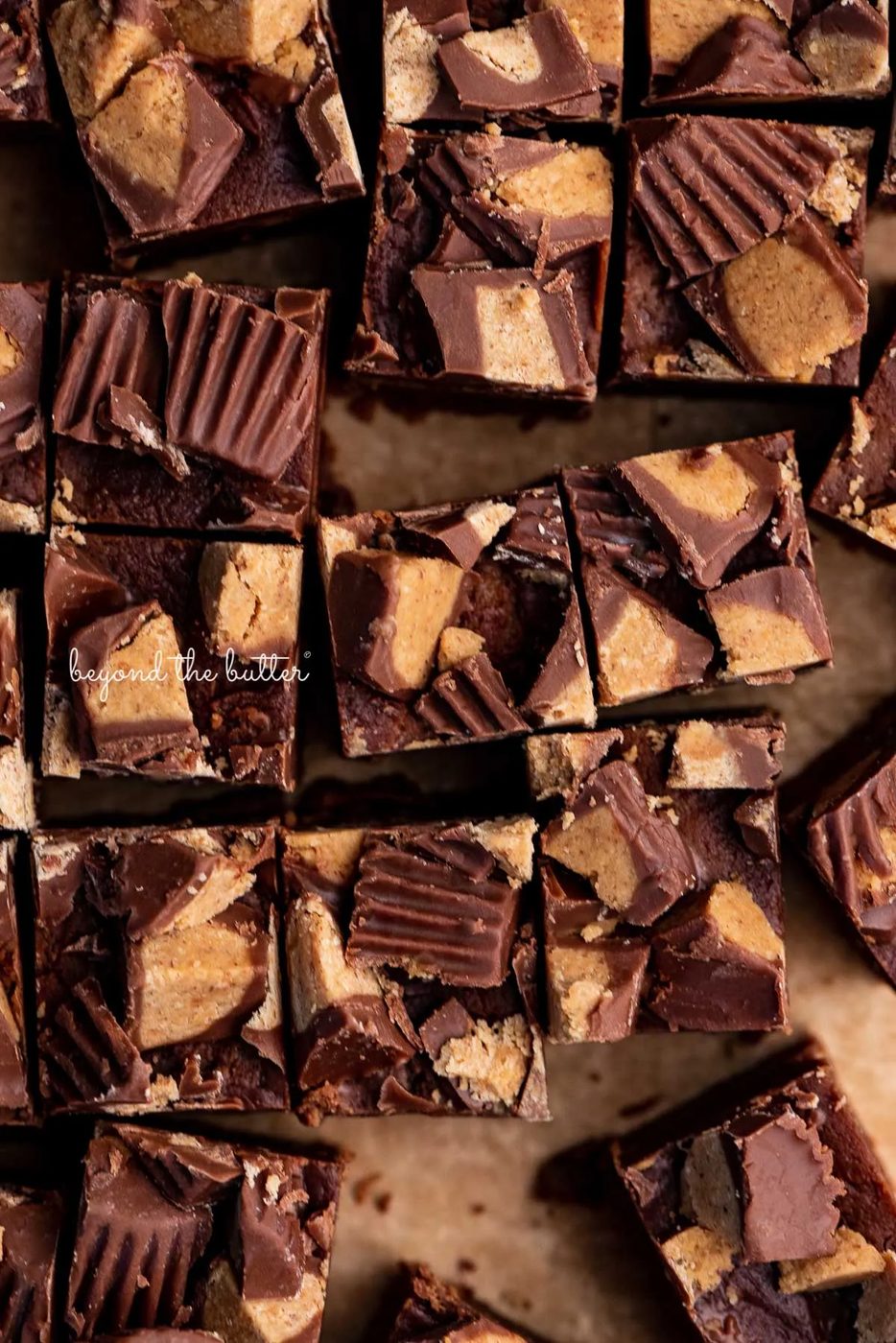Chocolate peanut butter fudge cut into small 1 inch squares on a sheet of brown parchment paper | © Sovuh