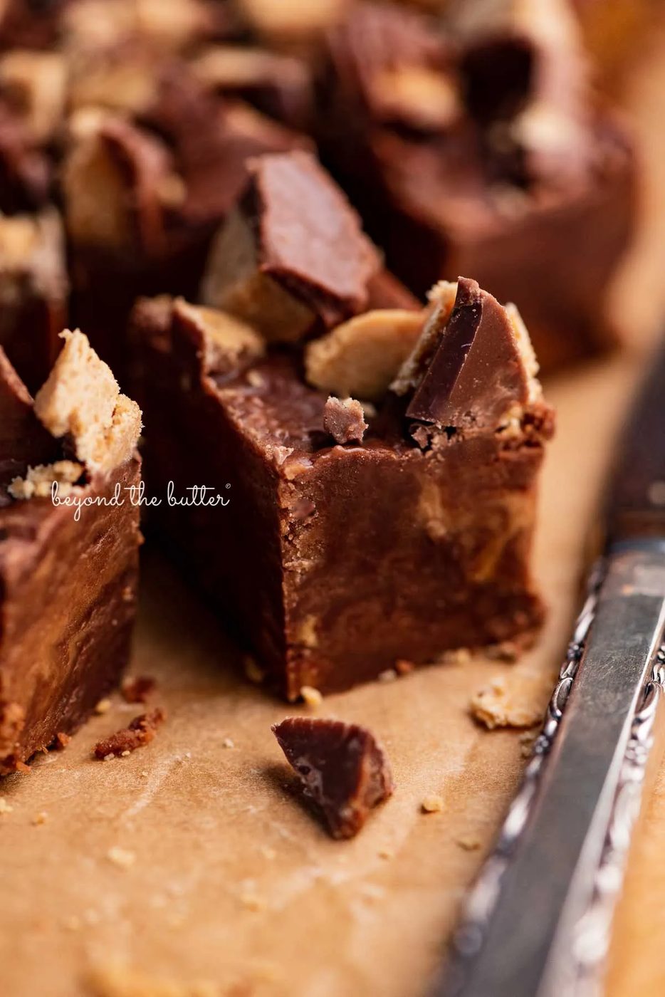 Close up of 1 inch cubes of house-made chocolate peanut butter fudge | © Sovuh
