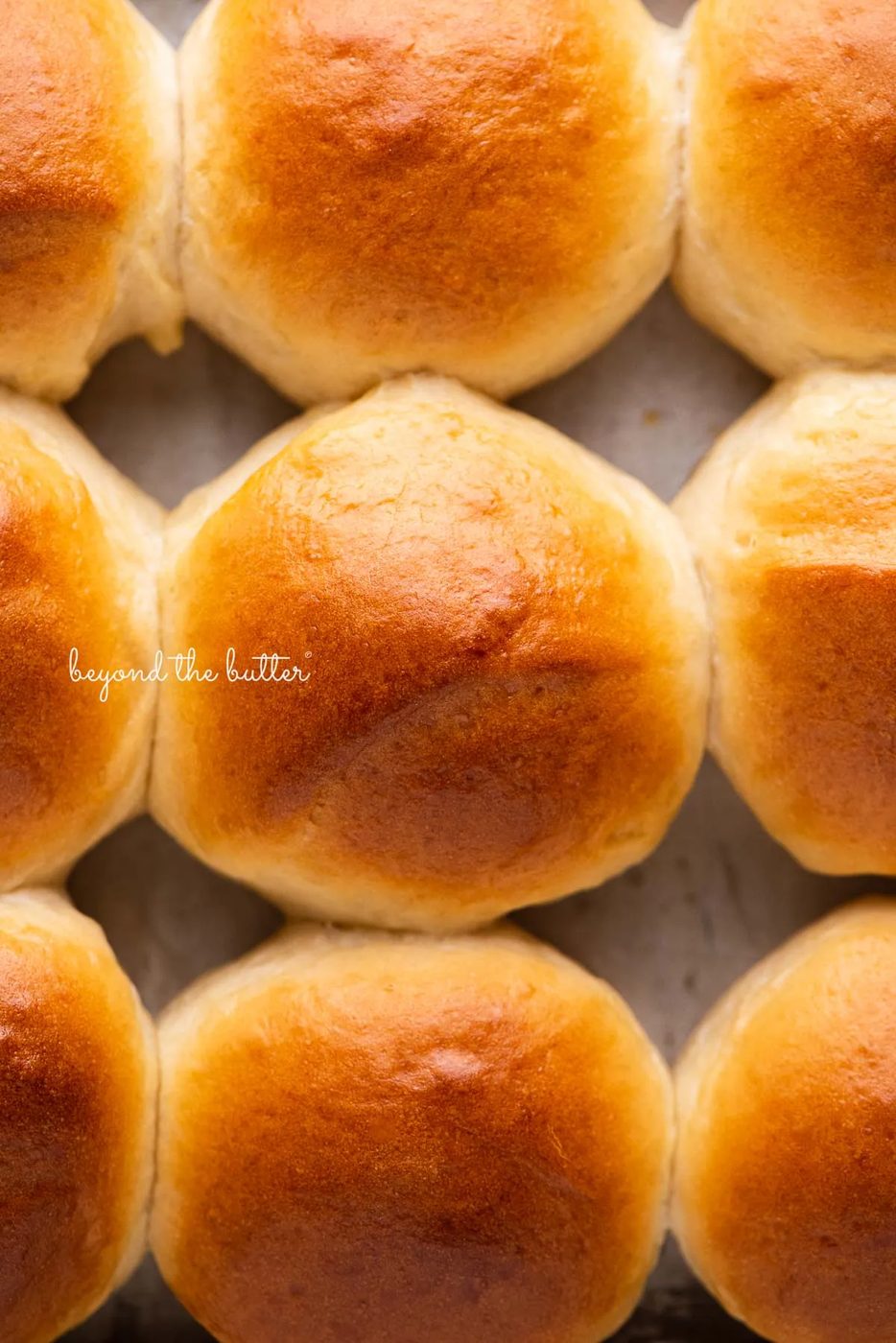House-made honey butter dinner rolls brushed with honey butter on a baking sheet | © Sovuh