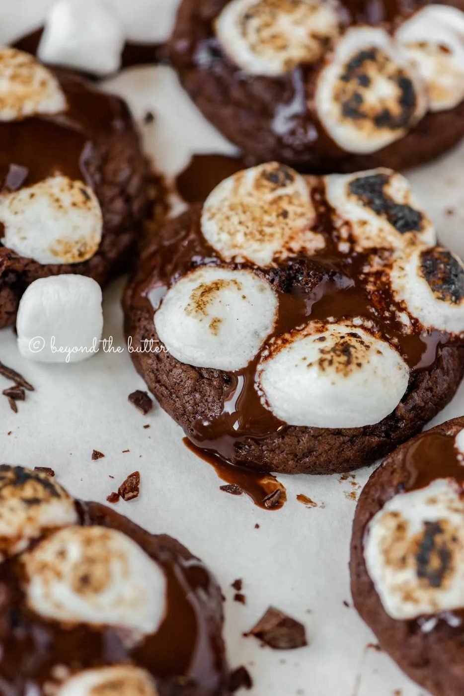 Angled image of hot chocolate mini marshmallow cookies on white background | All Images © Sovuh