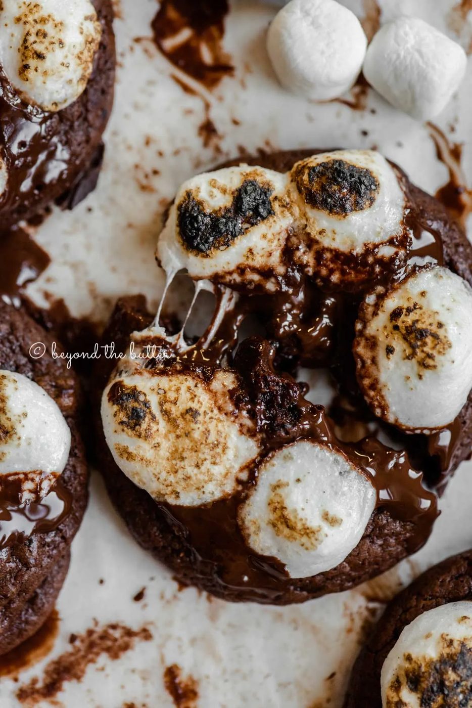 Hot chocolate mini marshmallow cookie pulled apart to see the inside with more cookies around it on white background | All Images © Sovuh
