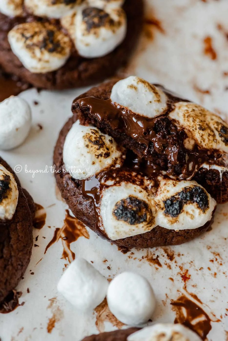 Hot chocolate mini marshmallow cookie pulled apart to see the inside with more cookies around it on white background | All Images © Sovuh