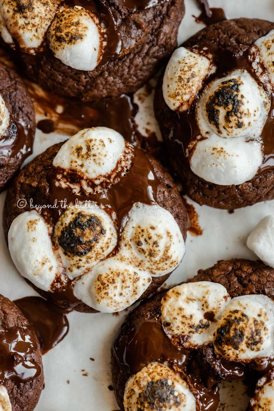 Closeup overhead of hot chocolate mini marshmallow cookies | All Images © Sovuh