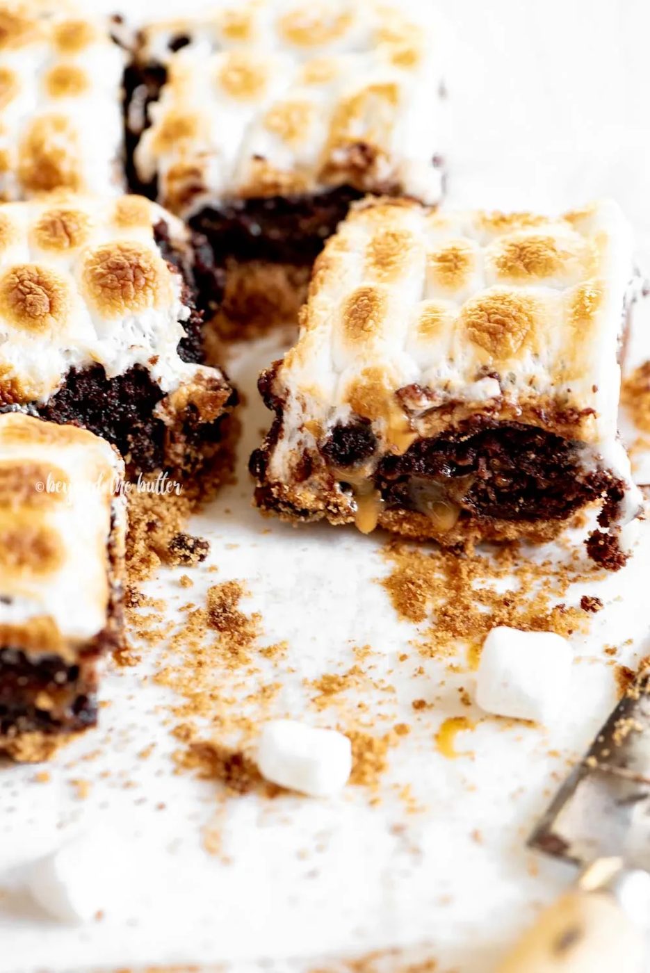 Familiar S'mores Brownies | All Images © Sovuh, LLC