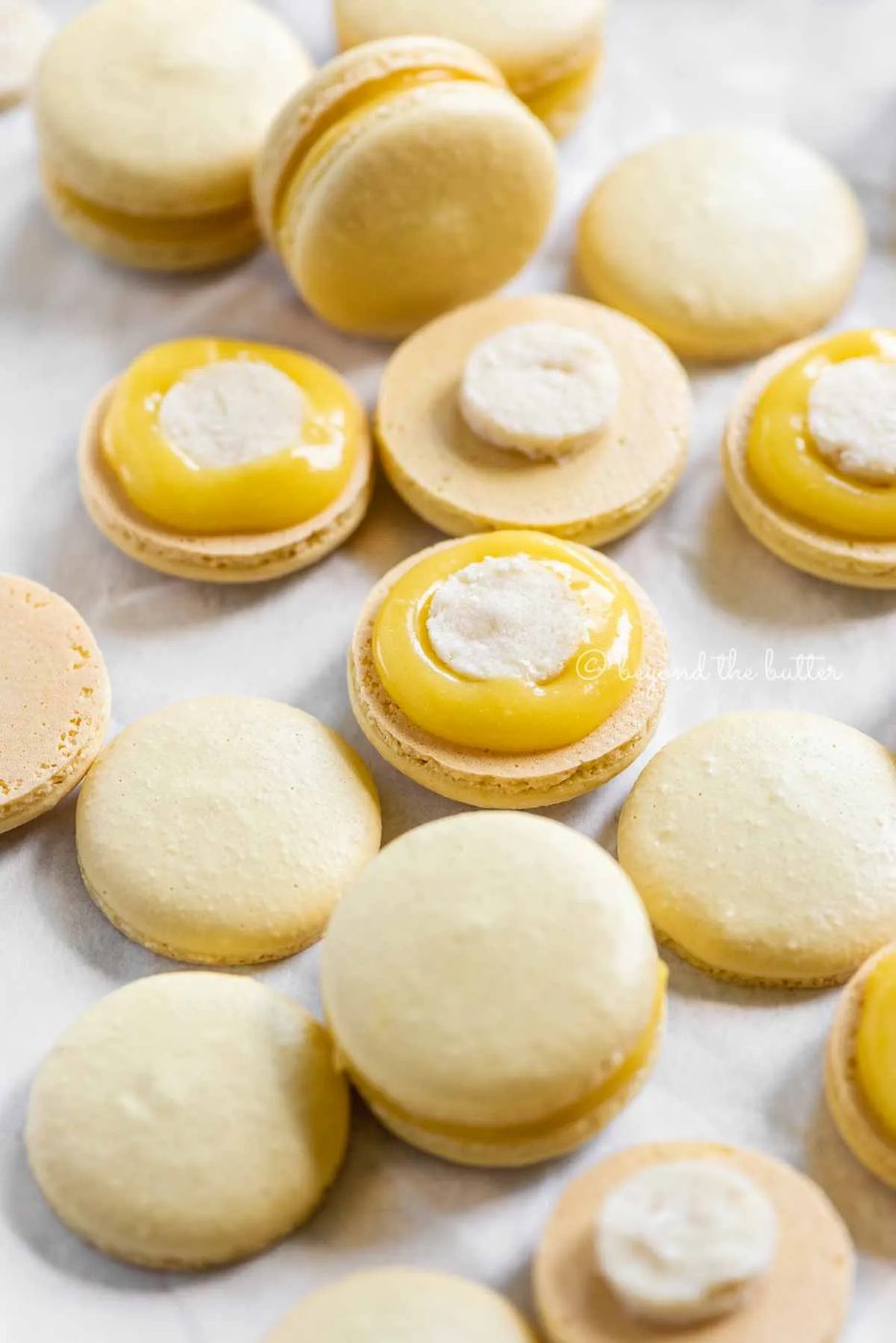 Angled image of lemon bar macarons half opened topped with shortbread crust centers and lemon curd filling | All Images © Sovuh
