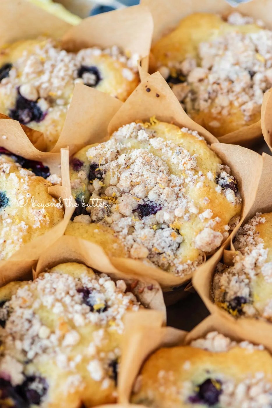 Baking tray filled with bakery style lemon blueberry muffins garnished with slices of lemons and blueberries | All images © Sovuh