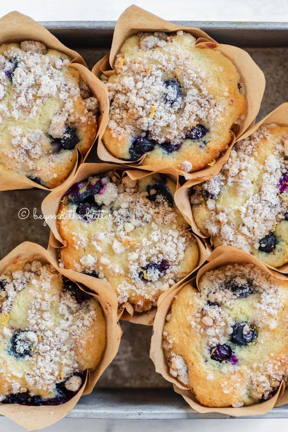 Baking tray filled with bakery style lemon blueberry muffins garnished with slices of lemons and blueberries | All images © Sovuh