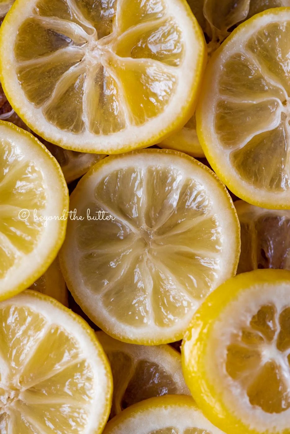 Close up of candied lemon slices | All Images © Sovuh