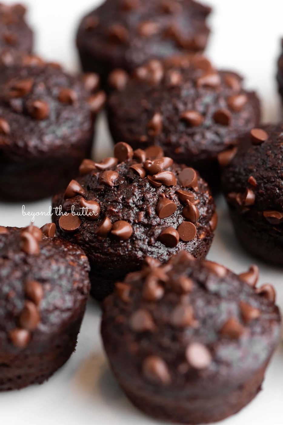 Mini chocolate banana muffins topped with mini chocolate chips placed close together on a white background.