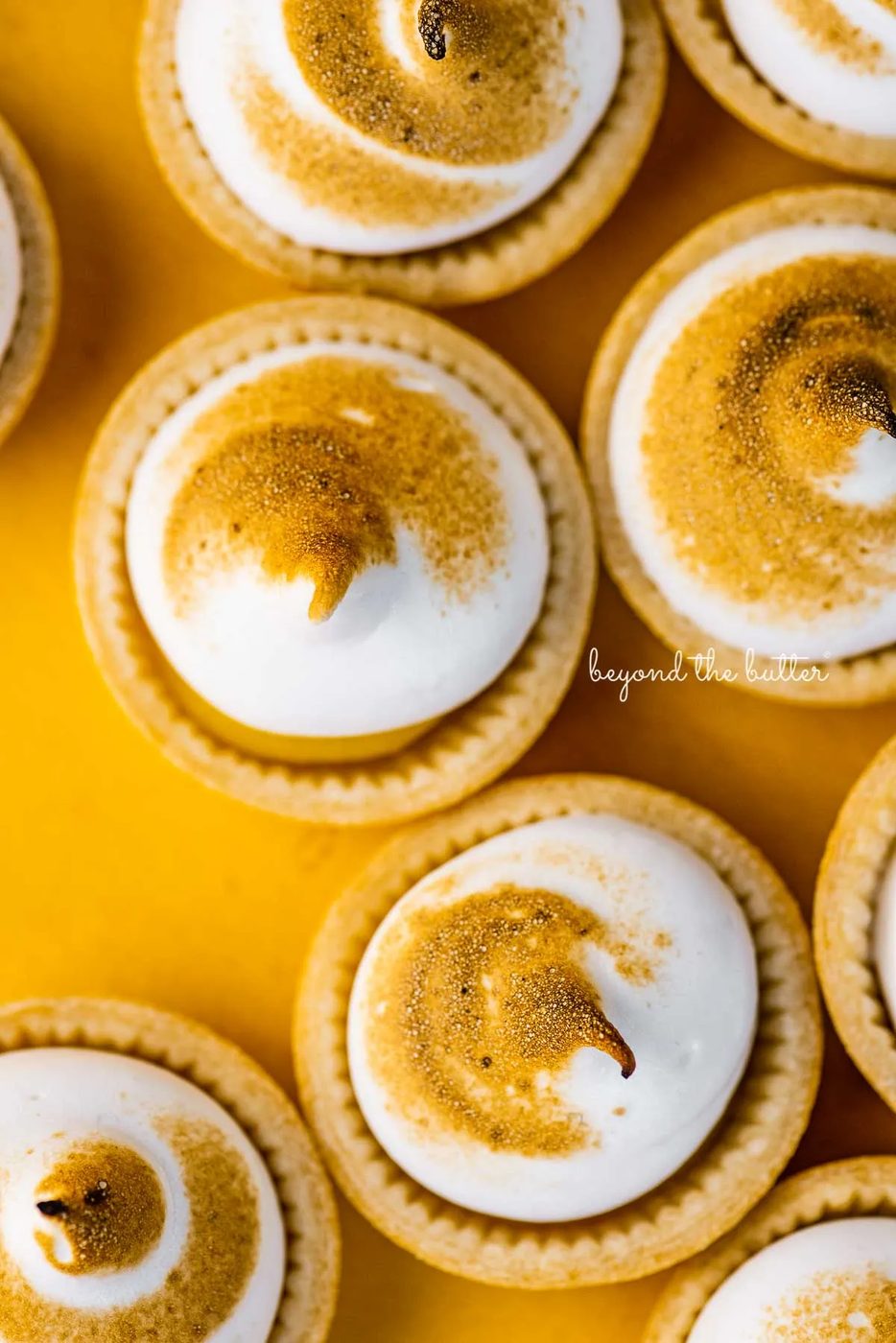 Mini lemon meringue pies on a yellow background | © Sovuh