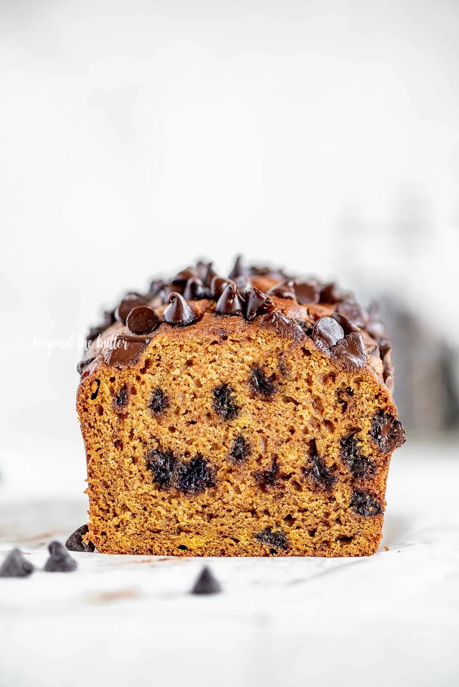 One Bowl Chocolate Chip Pumpkin Bread | All Images © Sovuh, LLC