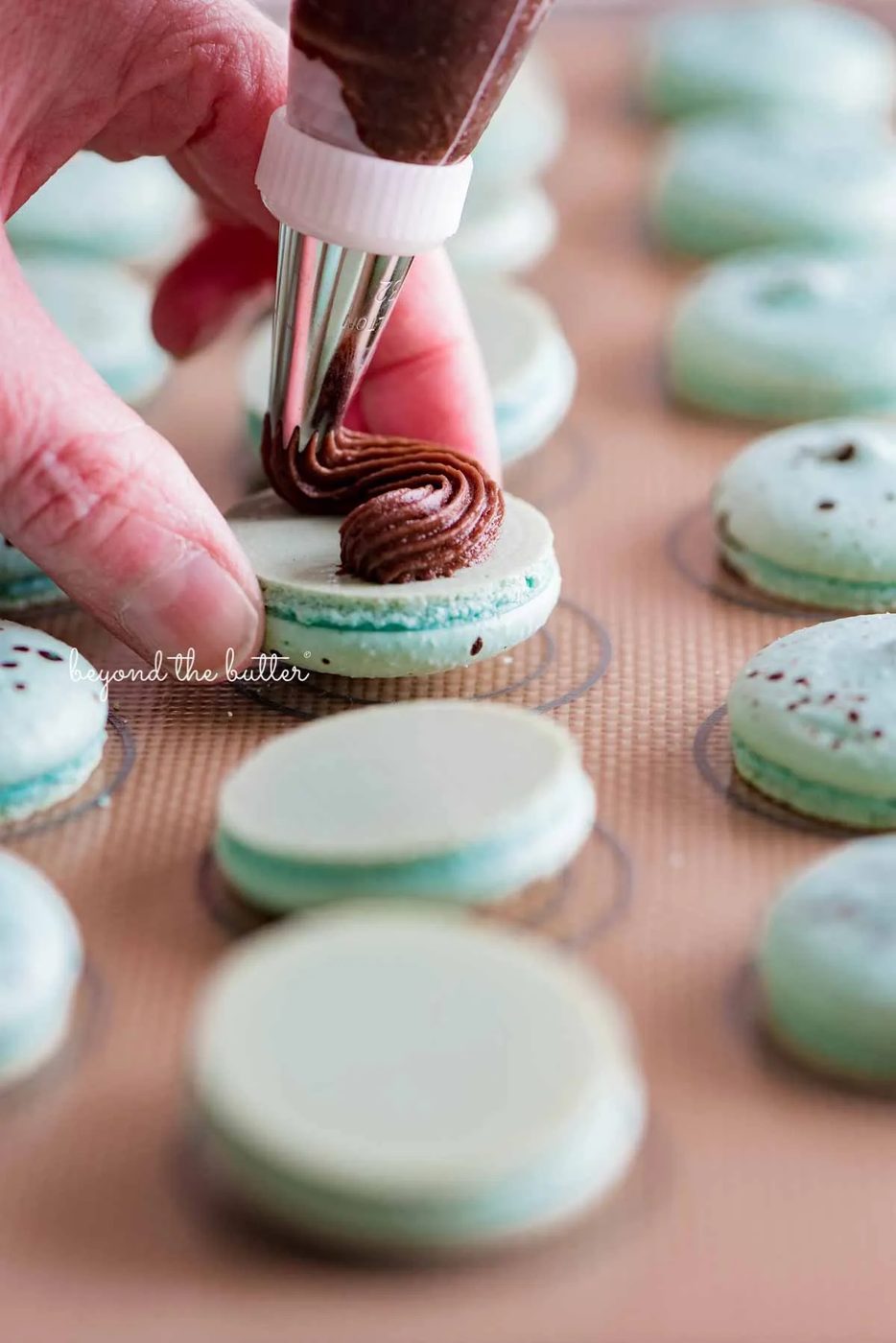 Piping milk chocolate frosting onto robin's egg macaron shells from Sovuh.com | All images © Sovuh