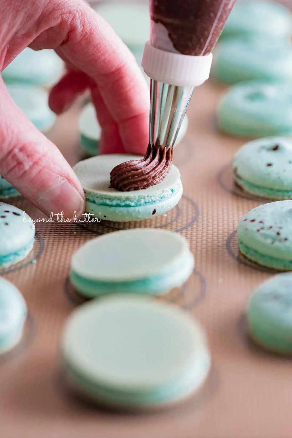 Piping milk chocolate frosting onto robin's egg macaron shells from Sovuh.com | All images © Sovuh