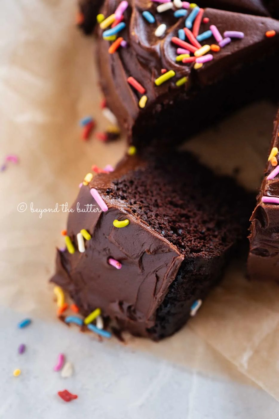 Angled closeup image of single layer chocolate cake with slices cut and randomly placed by the cake | All Images © Sovuh