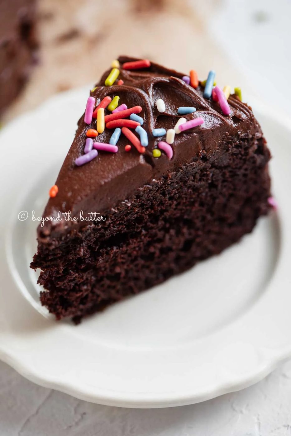 Angled closeup image of single slice of 6 inch chocolate cake on white dessert plate | All Images © Sovuh