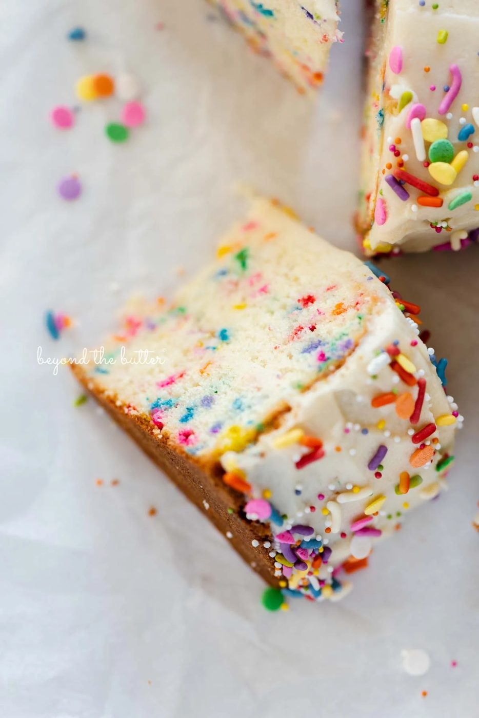 Slices of single layer funfetti cake on their side from Sovuh.com | All images © Sovuh