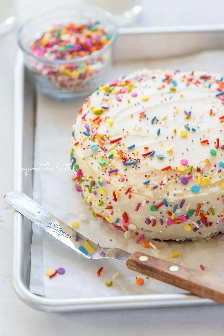 Single layer funfetti cake just frosted and sprinkled from Sovuh.com | All images © Sovuh