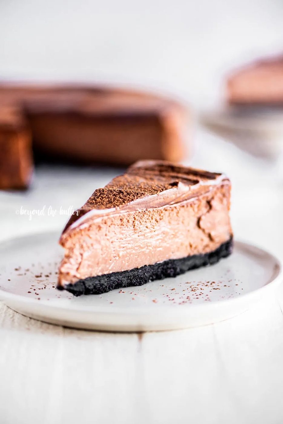 Single slice of Triple Chocolate Mocha Cheesecake dusted with cocoa | All Images © Sovuh, LLC