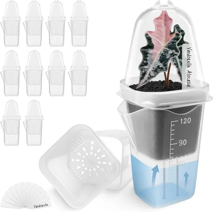 12-Pack 2.5" Self-Watering Propagation Pots with Adjustable Humidity Domes