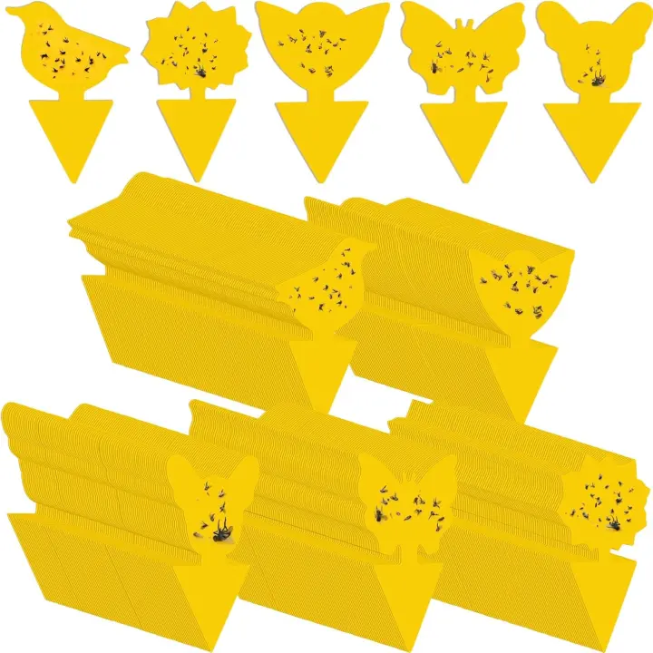 200-Pack Fruit Fly & Gnat Sticky Traps — Indoor/Outdoor Plant Traps