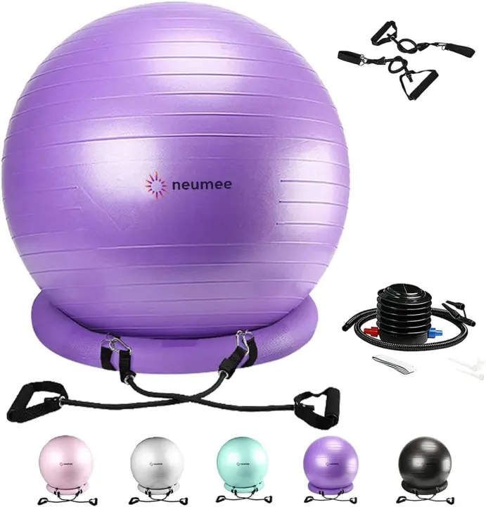 65cm Stability Yoga Ball Chair with Resistance Bands & Rolling Base