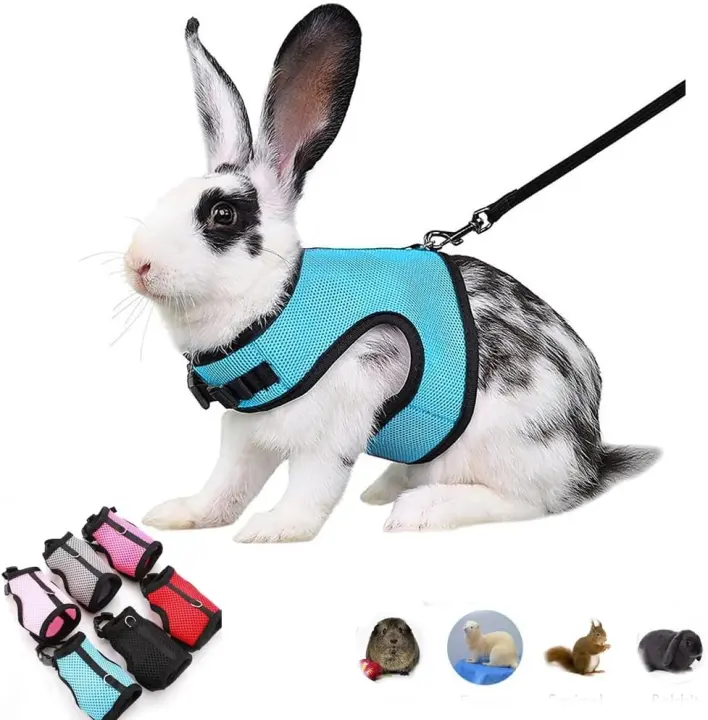 Escape-Resistant Mesh Bunny Harness & Leash Set — Large, Blue
