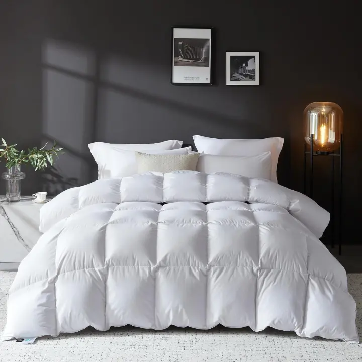 L LOVSOUL Goose Feather Down Comforter — Queen All-Season Duvet Insert
