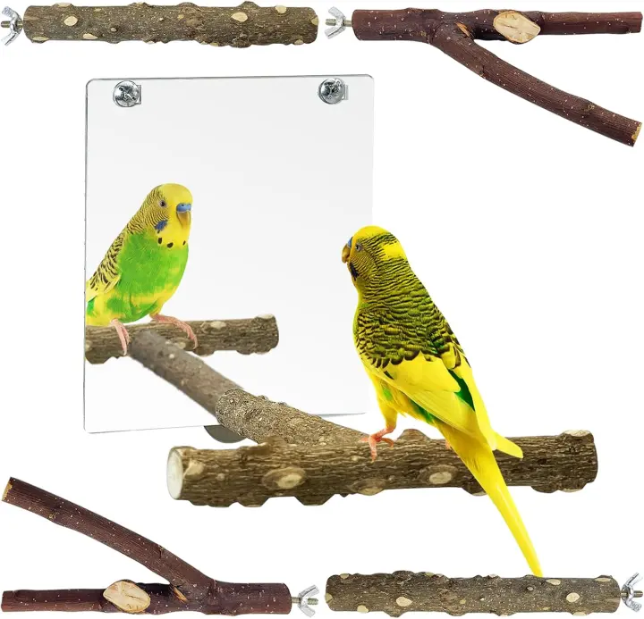 Natural Wood Parrot Perch Set with Mirror — Bird Perches
