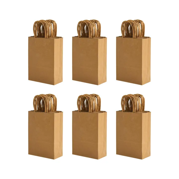 Small Kraft Paper Gift Bags with Handles — 100 Pack (5.8 x 3.2 x 8.25 in)