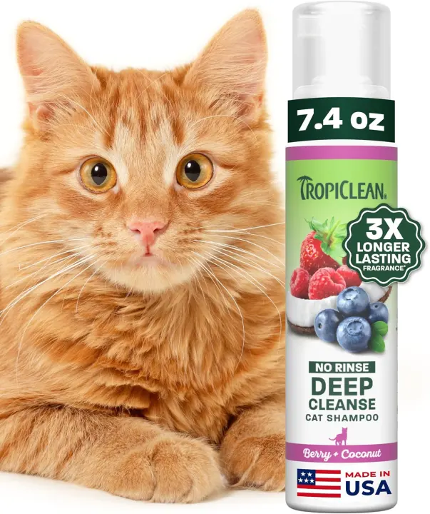 Waterless Berry & Coconut Cat Shampoo — No-Rinse Foam Cleanser