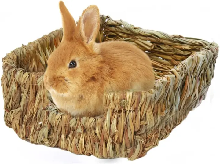 Woven Grass Rabbit Bed — Portable Chewable Nesting Basket