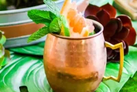 Sunshine Ginger Mule