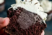 Decadent Triple Chocolate Delights
