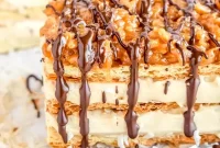 Samoa Caramel Coconut Napoleon
