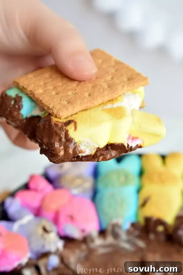 Close-up of golden brown, toasted bunny Peeps atop a melted chocolate dip in a cast iron skillet, ready to be enjoyed with graham crackers.