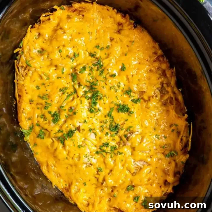 slow cooker with cheesy Crock Pot Chicken Enchiladas