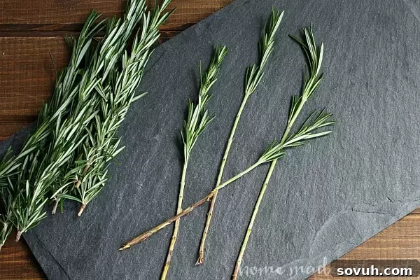Close-up of freshly prepared Rosemary Steak Skewers before grilling, showing marinated sirloin cubes and vibrant cherry tomatoes threaded onto fragrant rosemary stalks, ready for the grill.