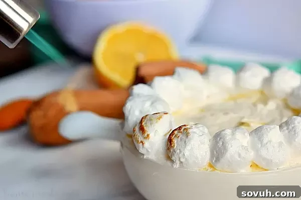 This vibrant No-Bake Lemon Meringue Dip is a fluffy, refreshing summer dessert. Made with a mix of creamy meringue and zesty lemon curd, it's perfect for serving with graham crackers or cookies at any gathering, from casual potlucks to elegant parties.
