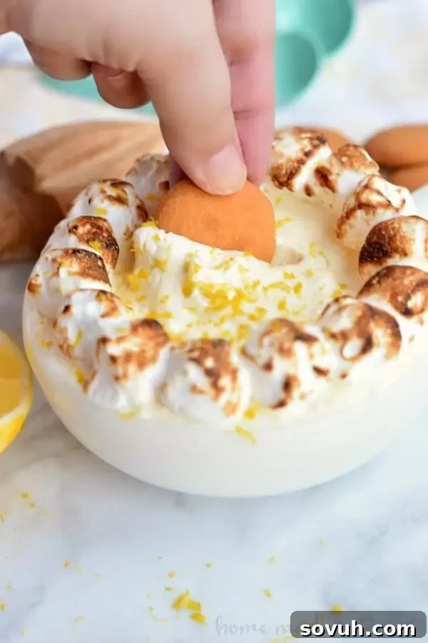 This no-bake Lemon Meringue Dip is an irresistible fluffy summer dessert, blending light meringue with zesty lemon curd. Served beautifully with Nilla wafers, it's a perfect sweet treat for any gathering or simply to enjoy at home.