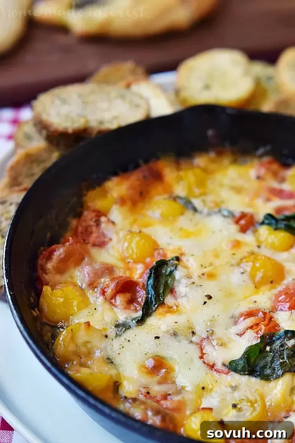 A striking vertical image of the full spread of an adult pizza party: individual pizzas, a fresh salad, and the star, Baked Caprese Dip with crostini.