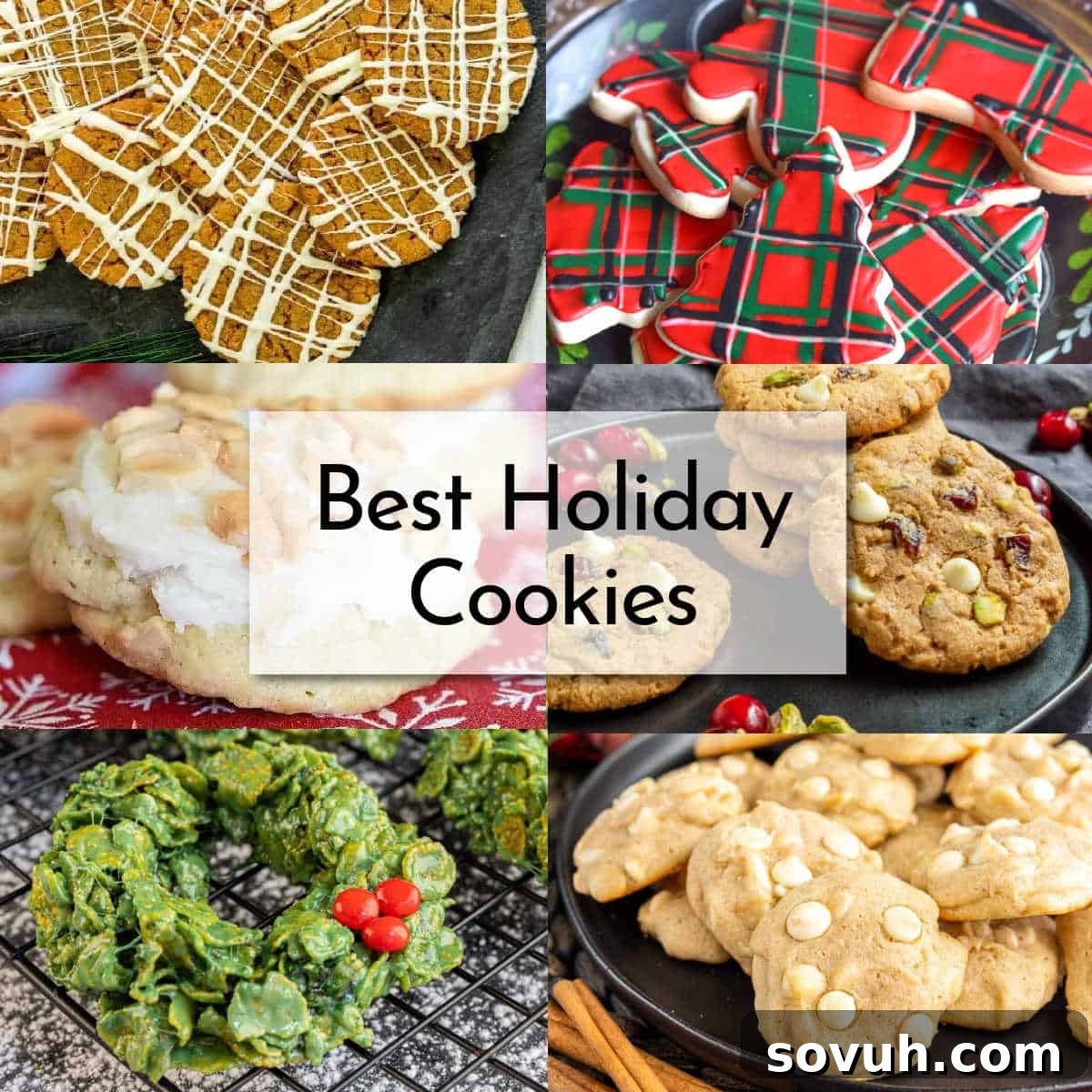 A collage of various holiday cookies, including plaid-decorated, white chocolate cranberry, wreath-shaped, and drizzled caramel ones, with "Best Holiday Cookies" text in the center.
